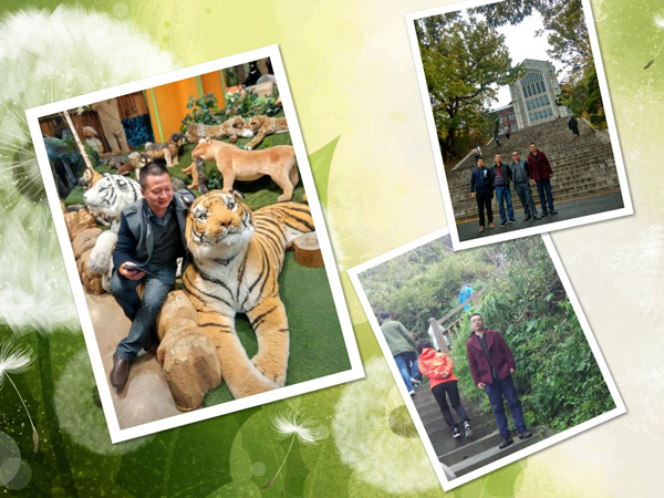 高端拉床,專用機(jī)床,內(nèi)拉床,外拉床,數(shù)控機(jī)床,自動(dòng)化生產(chǎn)線,工業(yè)機(jī)器人 高端拉床,專用機(jī)床,內(nèi)拉床,外拉床,數(shù)控機(jī)床,自動(dòng)化生產(chǎn)線,工業(yè)機(jī)器人