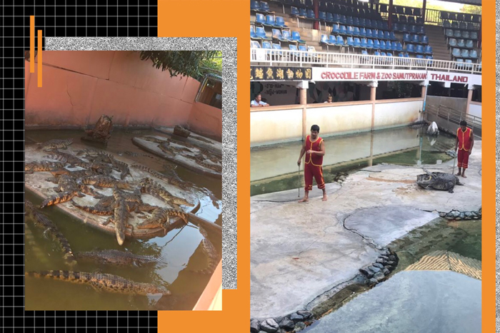 高端拉床,專用機(jī)床,內(nèi)拉床,外拉床,數(shù)控機(jī)床,自動(dòng)化生產(chǎn)線,工業(yè)機(jī)器人 高端拉床,專用機(jī)床,內(nèi)拉床,外拉床,數(shù)控機(jī)床,自動(dòng)化生產(chǎn)線,工業(yè)機(jī)器人