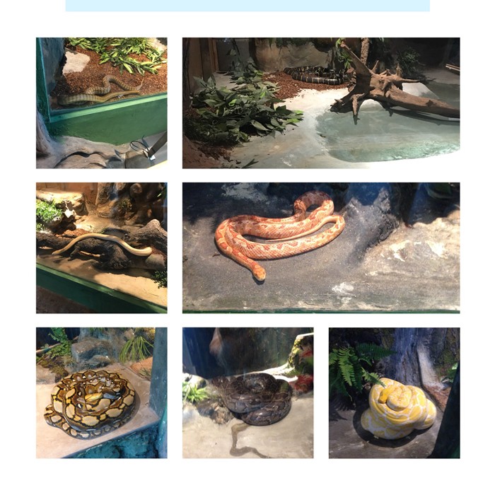 高端拉床,專用機(jī)床,內(nèi)拉床,外拉床,數(shù)控機(jī)床,自動(dòng)化生產(chǎn)線,工業(yè)機(jī)器人 高端拉床,專用機(jī)床,內(nèi)拉床,外拉床,數(shù)控機(jī)床,自動(dòng)化生產(chǎn)線,工業(yè)機(jī)器人