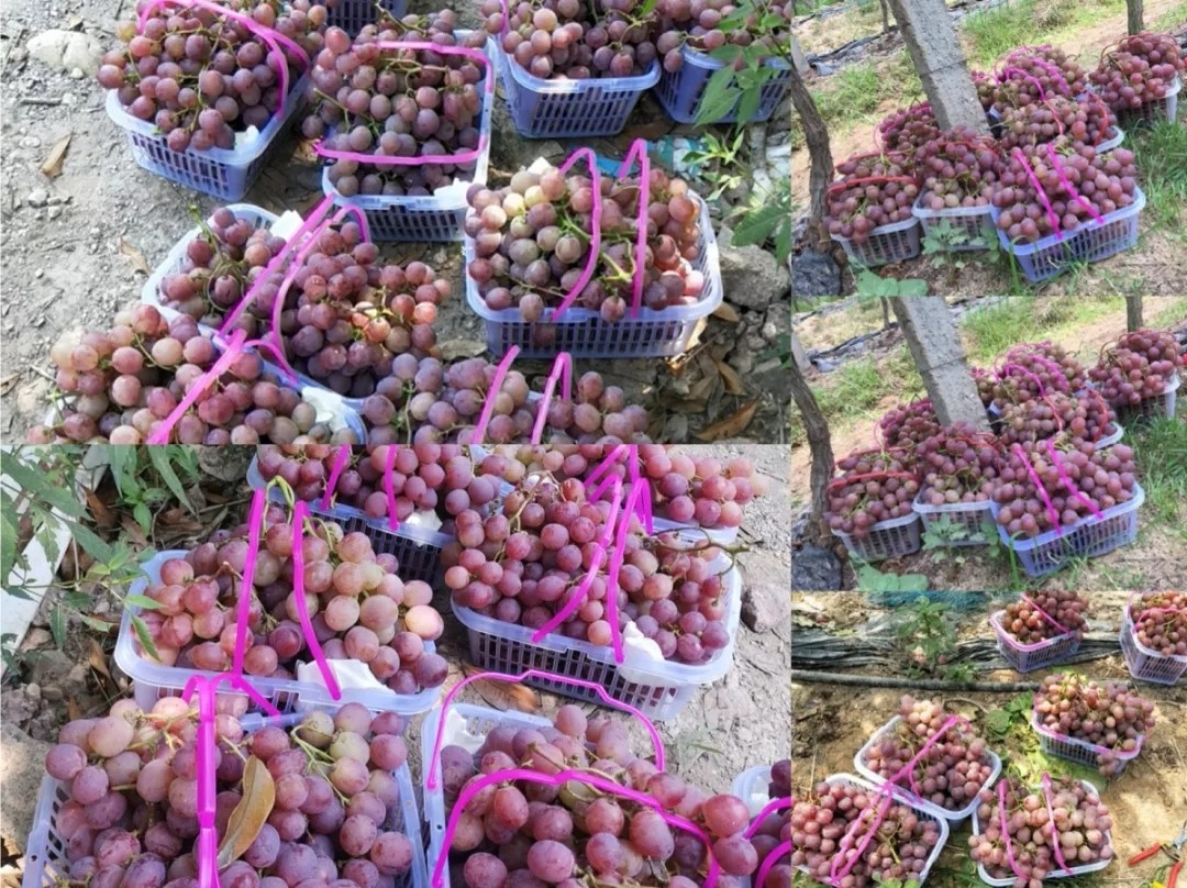 高端拉床,專用機床,內(nèi)拉床,外拉床,數(shù)控機床,自動化生產(chǎn)線,工業(yè)機器人,拉床,拉刀,自動化 高端拉床,專用機床,內(nèi)拉床,外拉床,數(shù)控機床,自動化生產(chǎn)線,工業(yè)機器人,拉床,拉刀,自動化