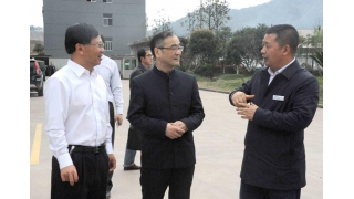 浙江省委統(tǒng)戰(zhàn)部部長馮志禮調(diào)研暢爾
