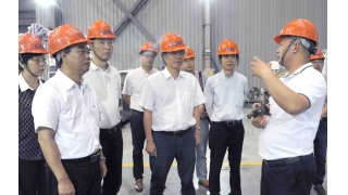 麗水市人大常委會副主任陳建波調(diào)研暢爾