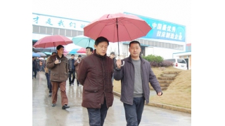 省科技廳廳長(zhǎng)蔣泰維一行蒞臨我公司視察指導(dǎo)