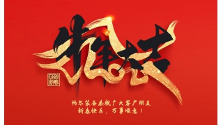 浙江暢爾智能裝備股份有限公司祝大家2021年新年快樂！
