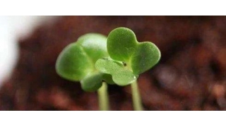 【暢爾故事】成長之“家”