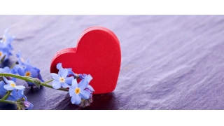 【暢爾故事】胡武英：在暢爾，總有溫暖隨行