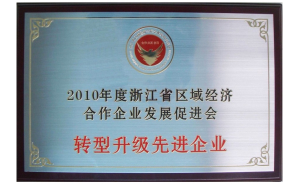 浙江省轉(zhuǎn)型升級先進(jìn)企業(yè)獎牌