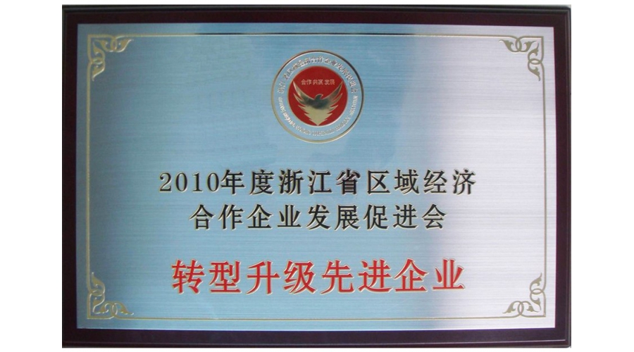 浙江省轉(zhuǎn)型升級先進企業(yè)獎牌